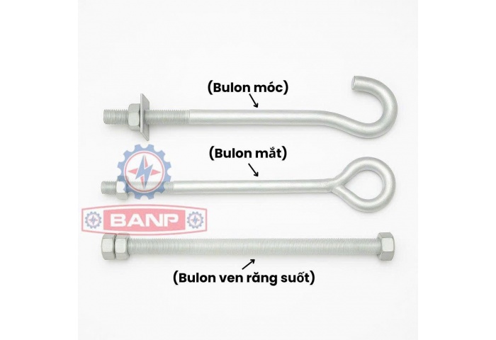 Bulon ven răng suốt